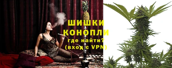 дмт Няндома
