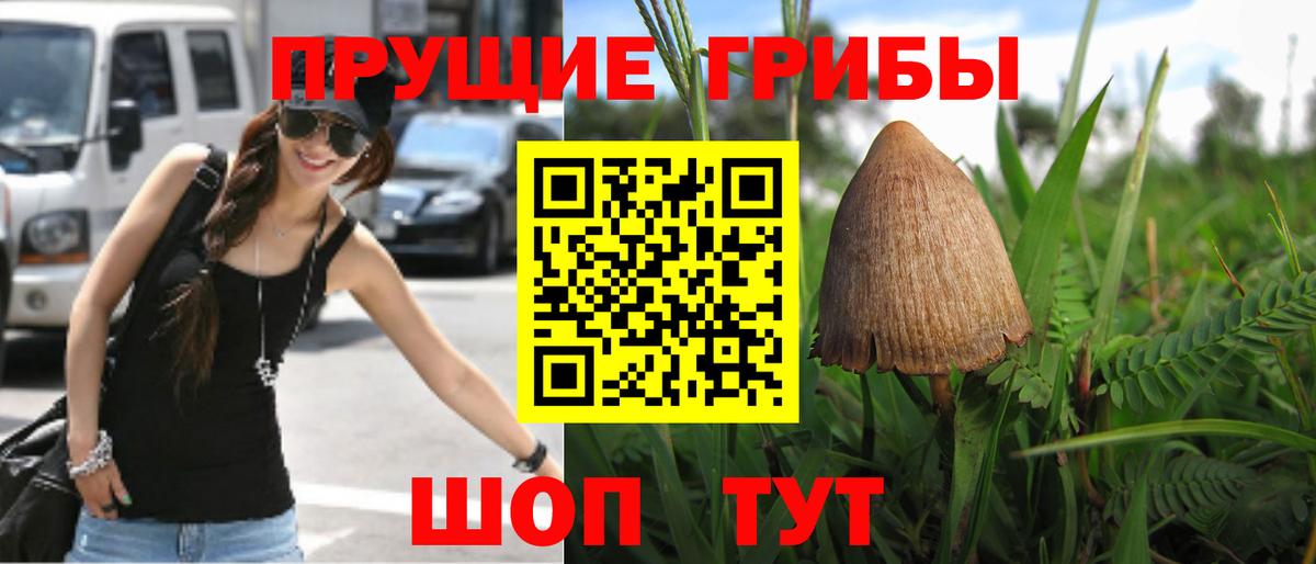Галлюциногенные грибы ЛСД  Вход с VPN  Шарыпово 