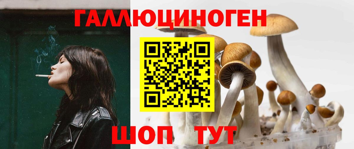 Псилоцибиновые грибы ЛСД Шарыпово