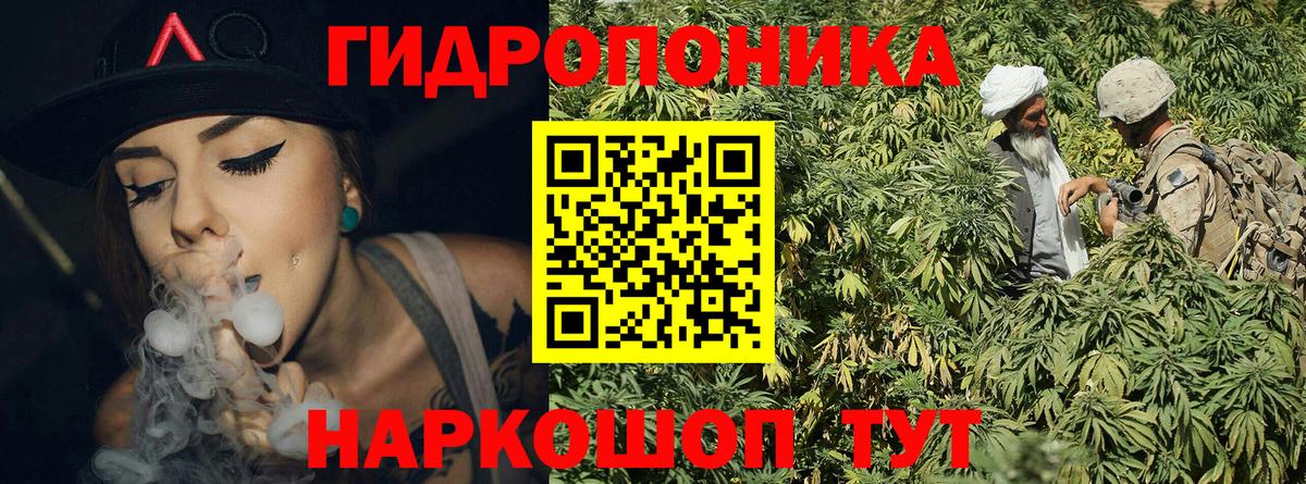 Марихуана сатива  МАРИХУАНА White Widow  Бошки Шишки конопля  Вход с VPN  Шарыпово  Шишки марихуана индика 